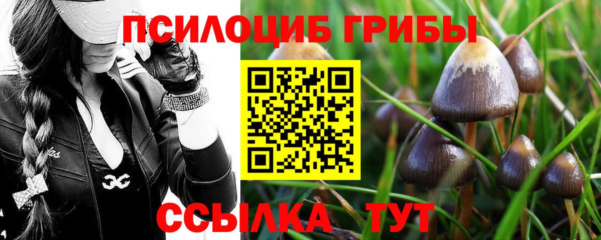 Псилоцибиновые грибы мицелий  Вход с VPN  Азов 